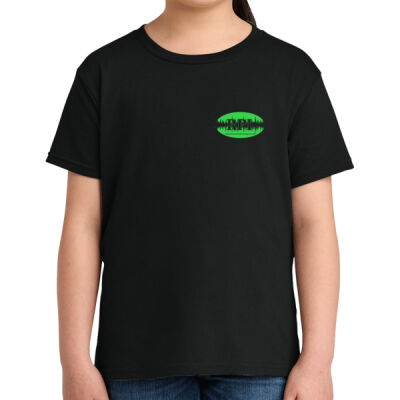 Racine Paranormal Investigators - Gildan - Youth Softstyle ® T Shirt - 64000B Thumbnail